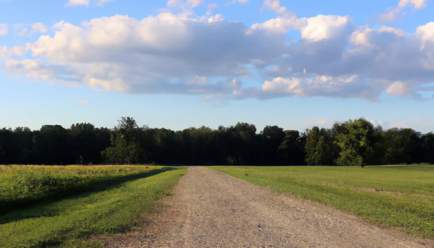 How to Sell Land Fast in Montana